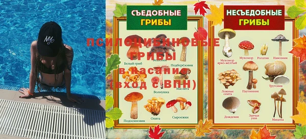 прущие крисы Армянск