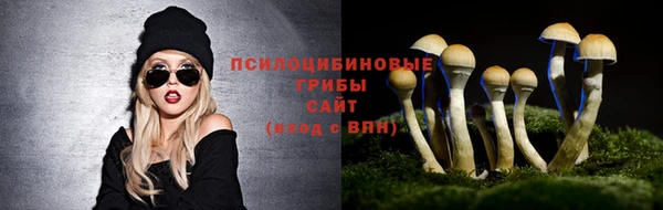 молекула духа Аркадак