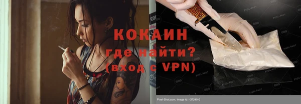 хмурый Каменка