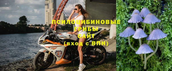 прущие крисы Армянск
