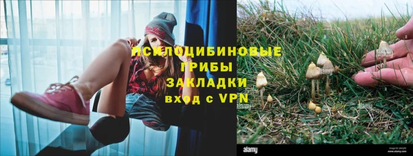 гашик Баксан