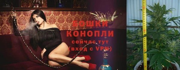 молекула духа Аркадак