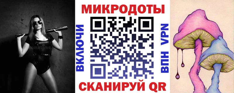 Галлюциногенные грибы Psilocybe  Родники 